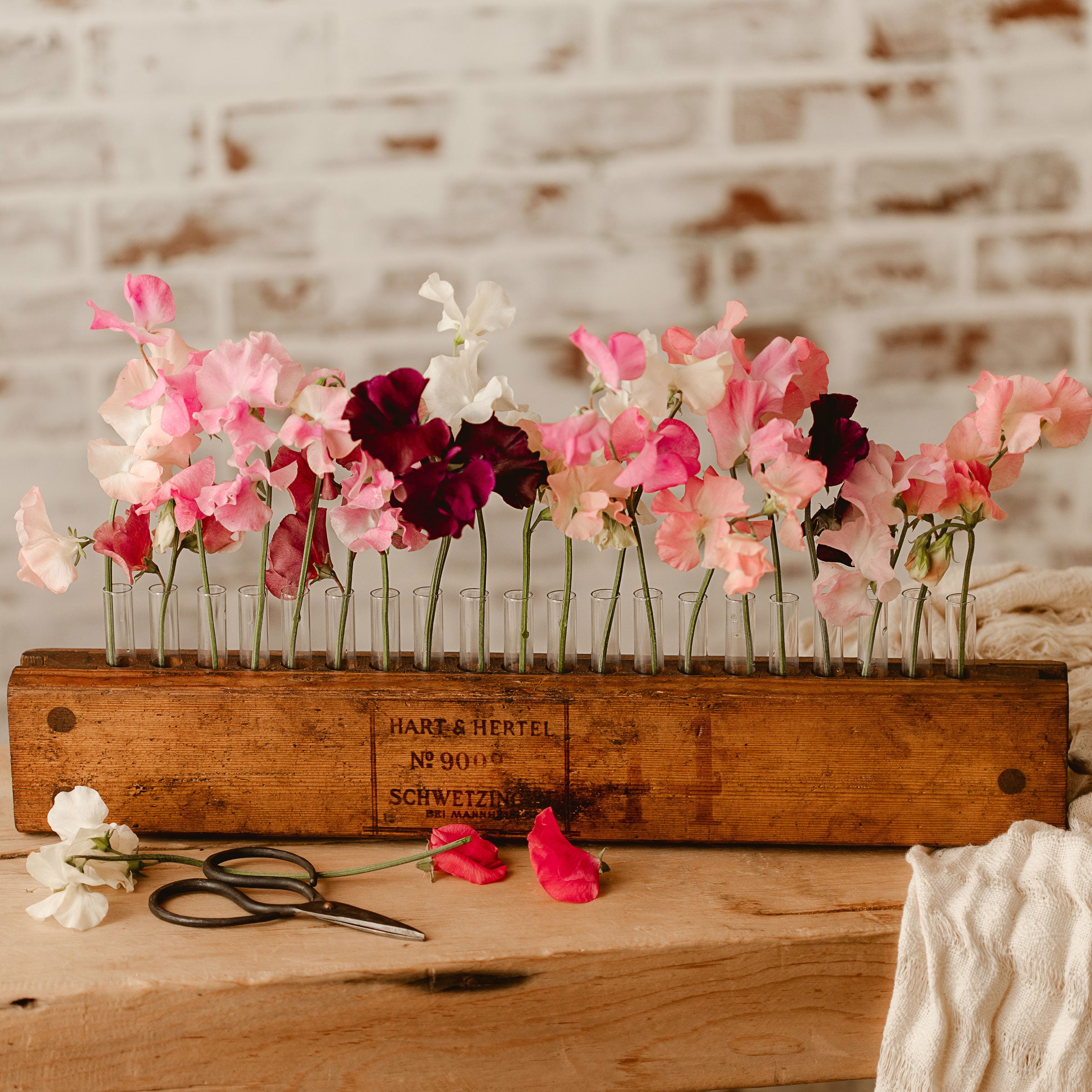 Vintage Cigar Press Vase with sweet pea flowers on a rustic wood table