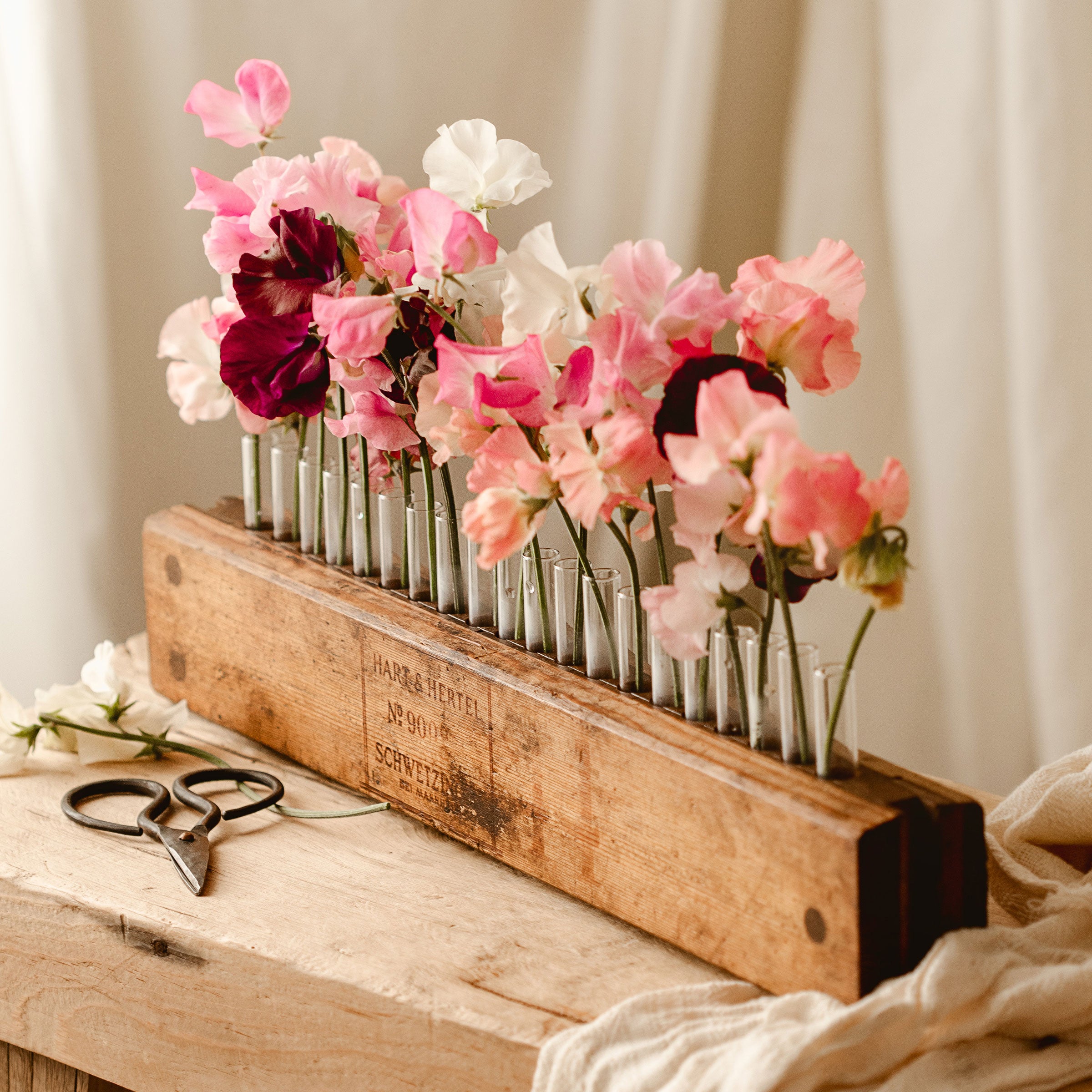 Vintage Cigar Press Vase with sweet pea flowers