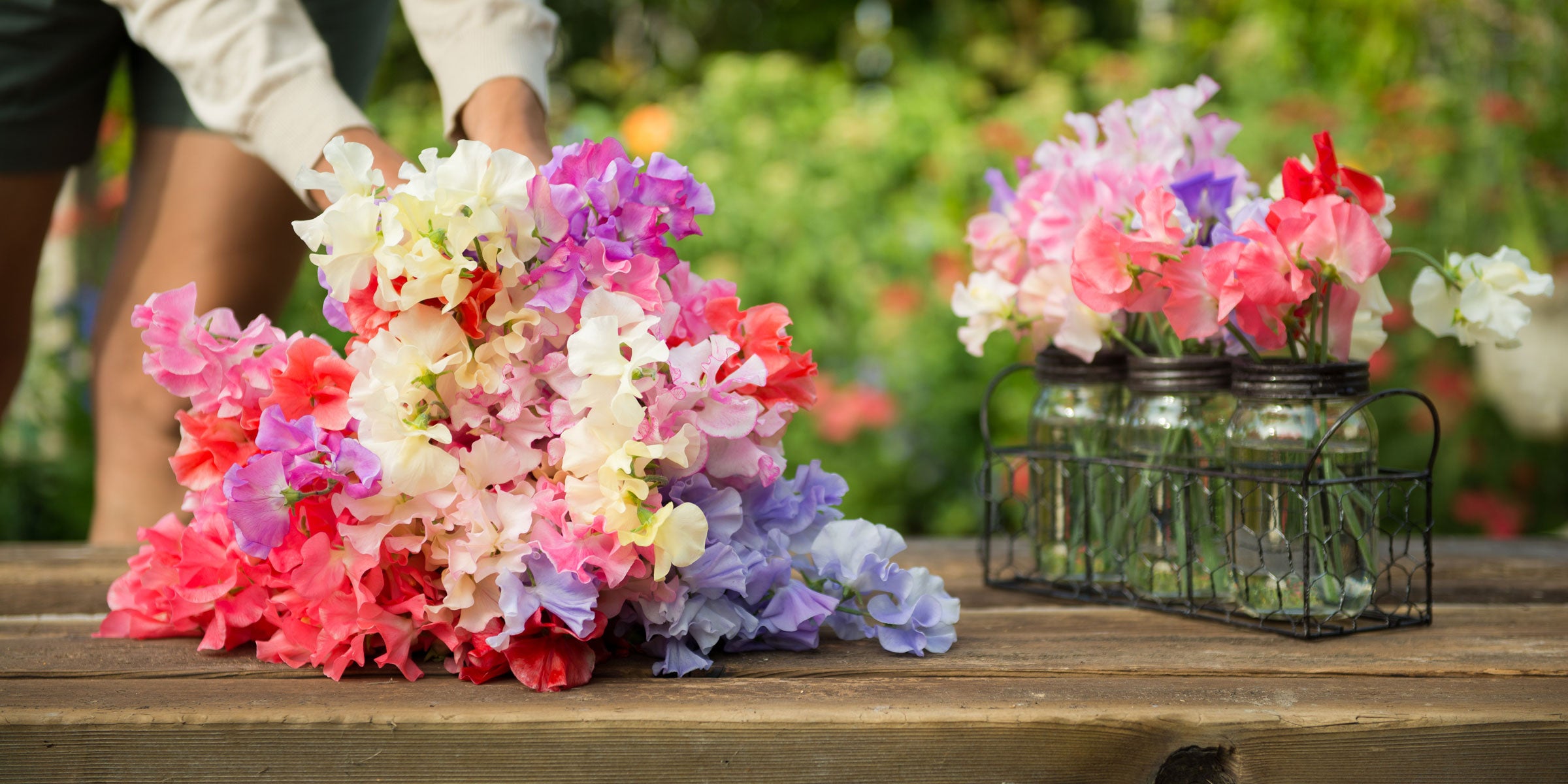 Large floral arrangement of fragrant sweet pea flowers in mixed pastel shades – hand-cut blooms from Sweet Pea Gardens.