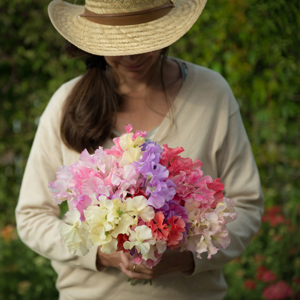 Woman holding a hand-tied bouquet of mixed sweet pea varieties in pink, lilac, and cream tones – grown at Sweet Pea Gardens.