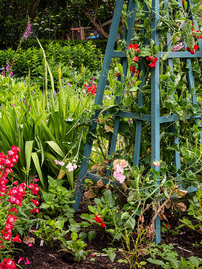 Growing a beautiful garden consultation